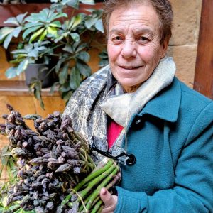 Lucija Gozo Asparagus